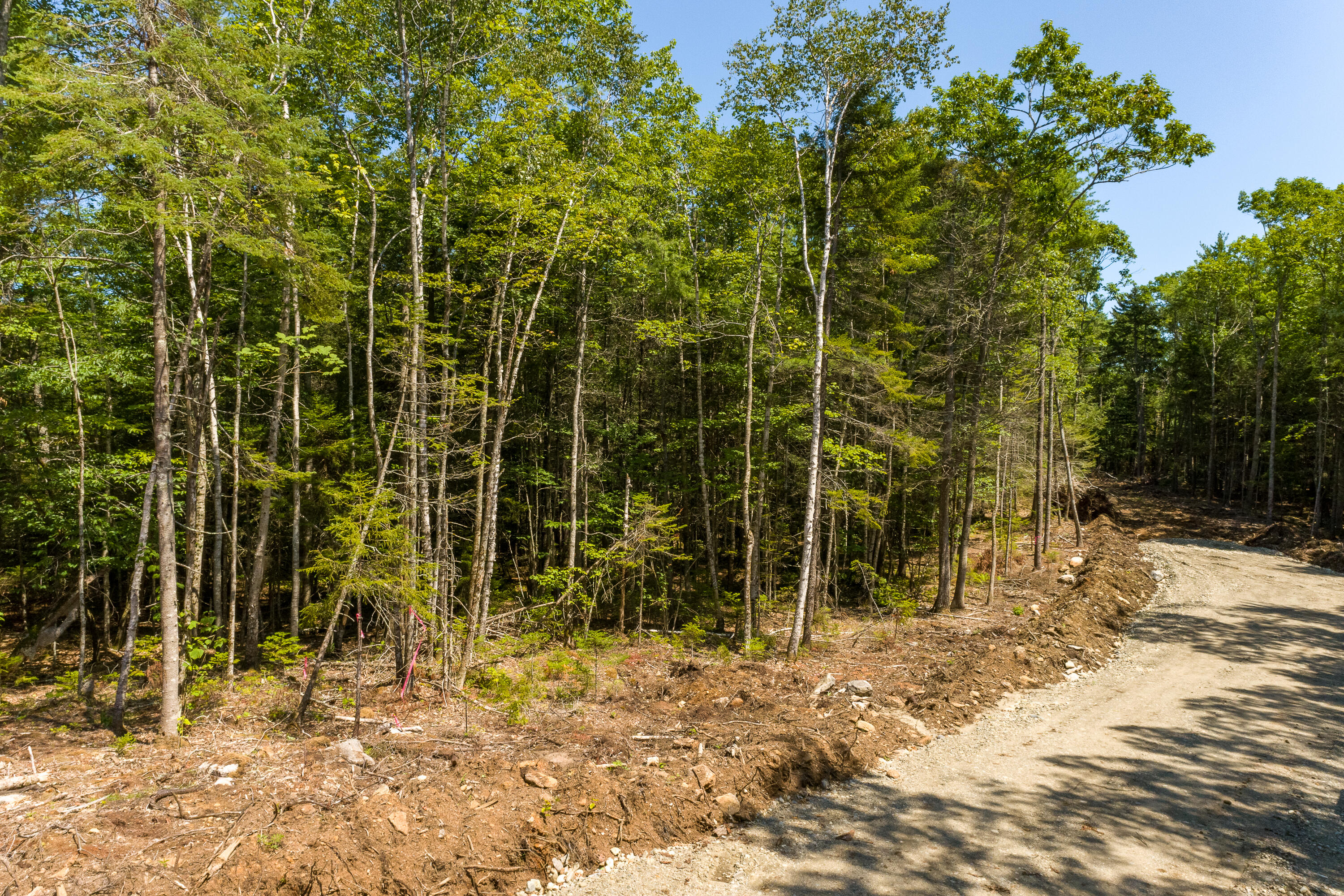 0 Blue Ridge, Unit LOT D Bristol, ME 04539 - Photo 12 of 27 (31)_Blue Ridge Acres, Bristol(MAPS)
