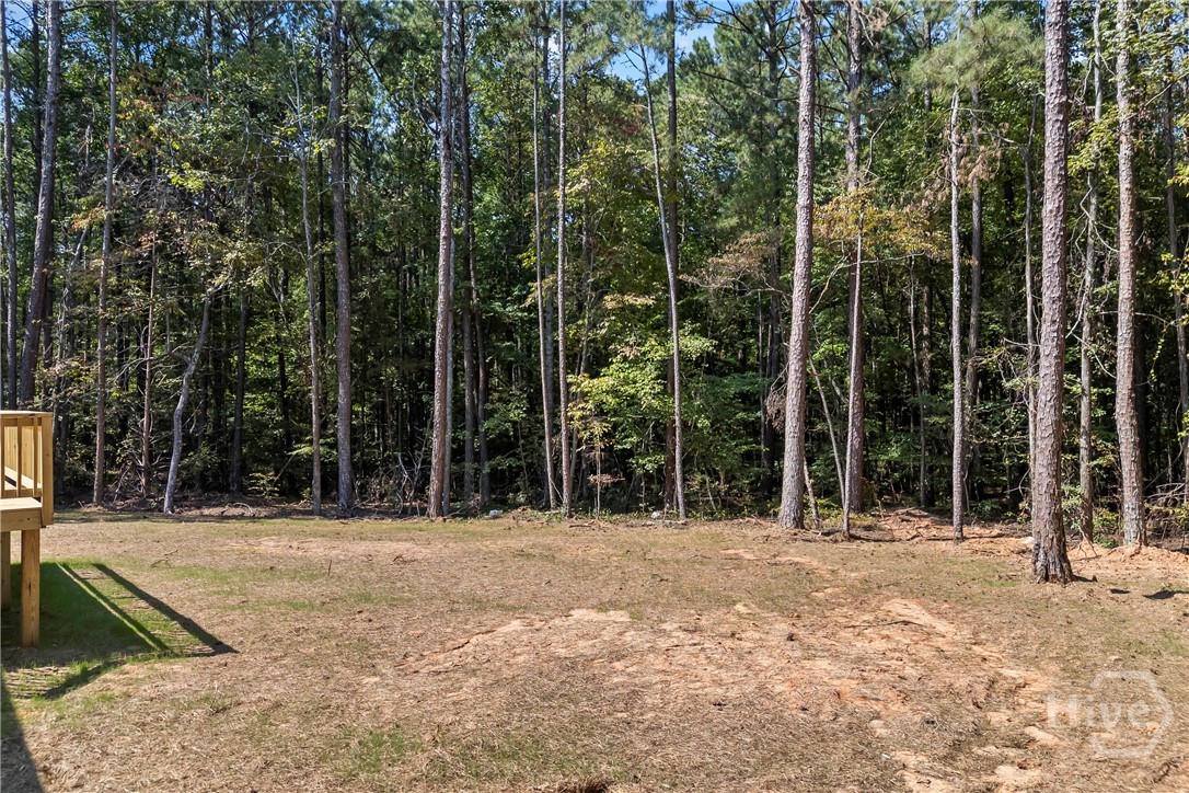 35 Cherry Circle Lexington, GA 30648 - Photo 56 of 61