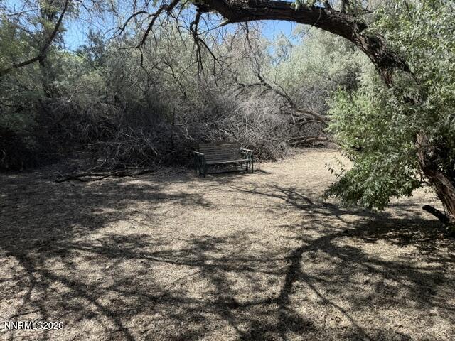 2195 Old River Road Fallon, NV 89406 - Photo 33 of 43 IMG_0203