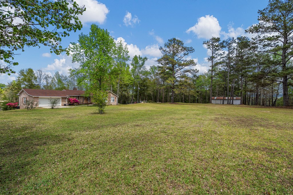 42 Maringo Creek Road Opelika, AL 36804 - Photo 43 of 44