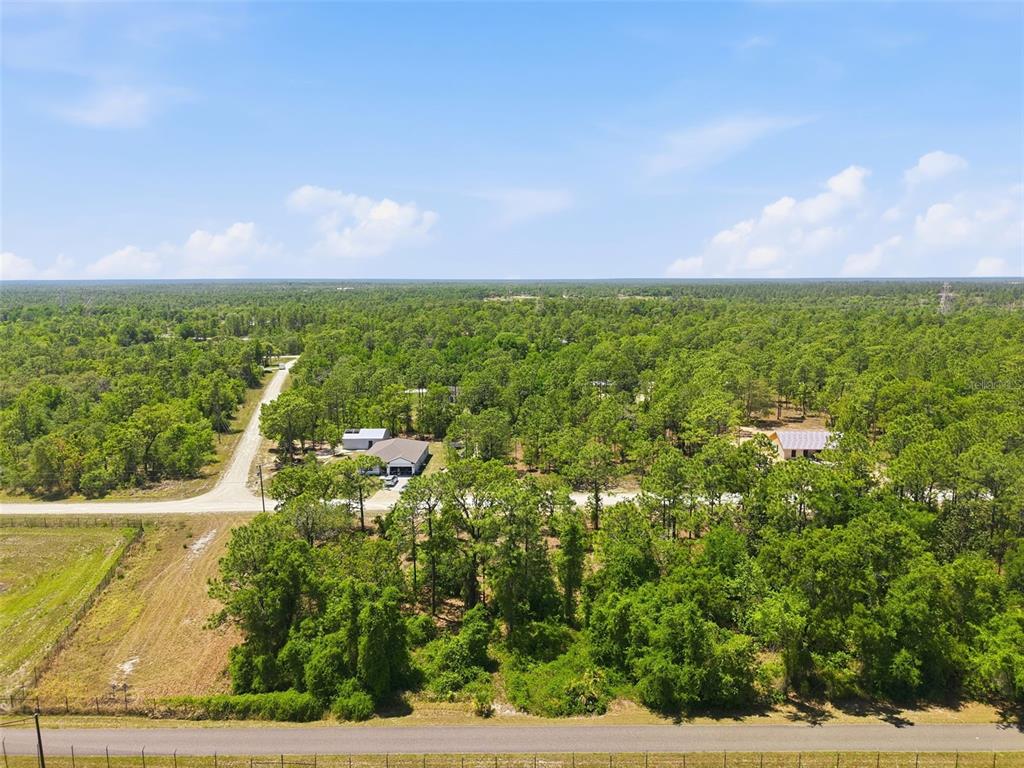 10 Cagarro Road Weeki Wachee, FL 34614 - Photo 5 of 21