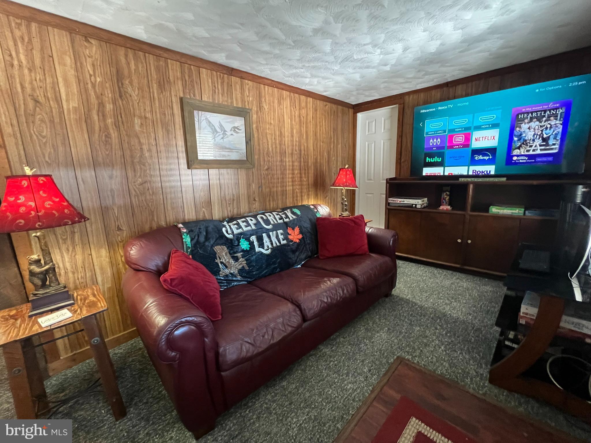 193 Gravelly Run Road McHenry, MD 21541 - Photo 21 of 57 a living room with furniture and a flat screen tv