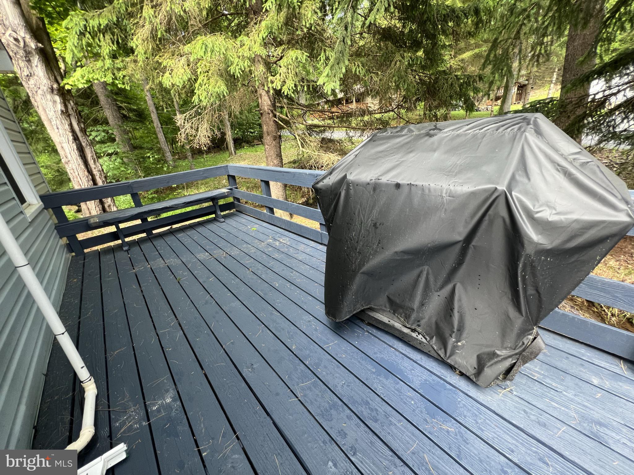 193 Gravelly Run Road McHenry, MD 21541 - Photo 44 of 57 a view of roof deck