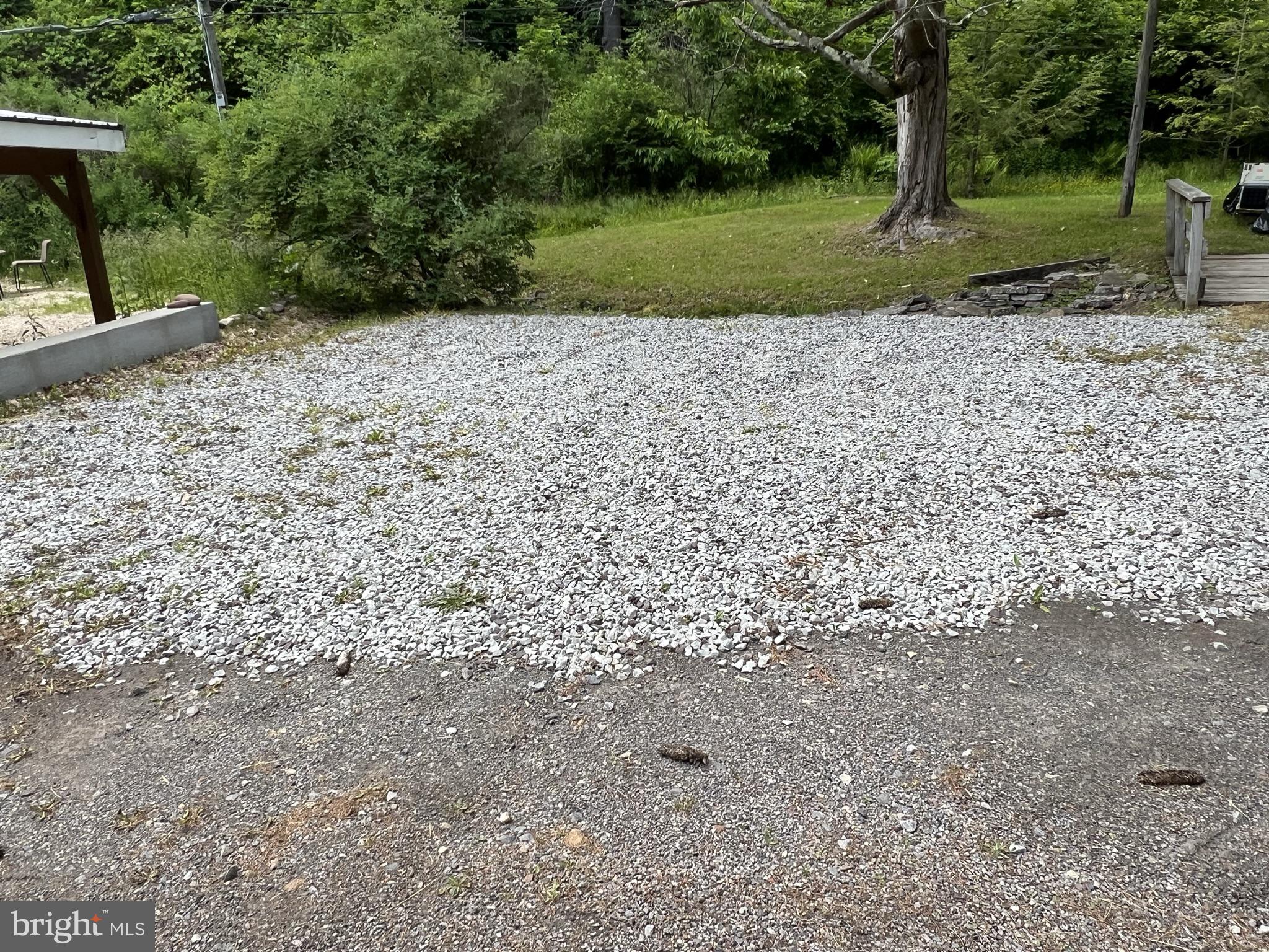 193 Gravelly Run Road McHenry, MD 21541 - Photo 50 of 57 a view of a yard with plants and trees