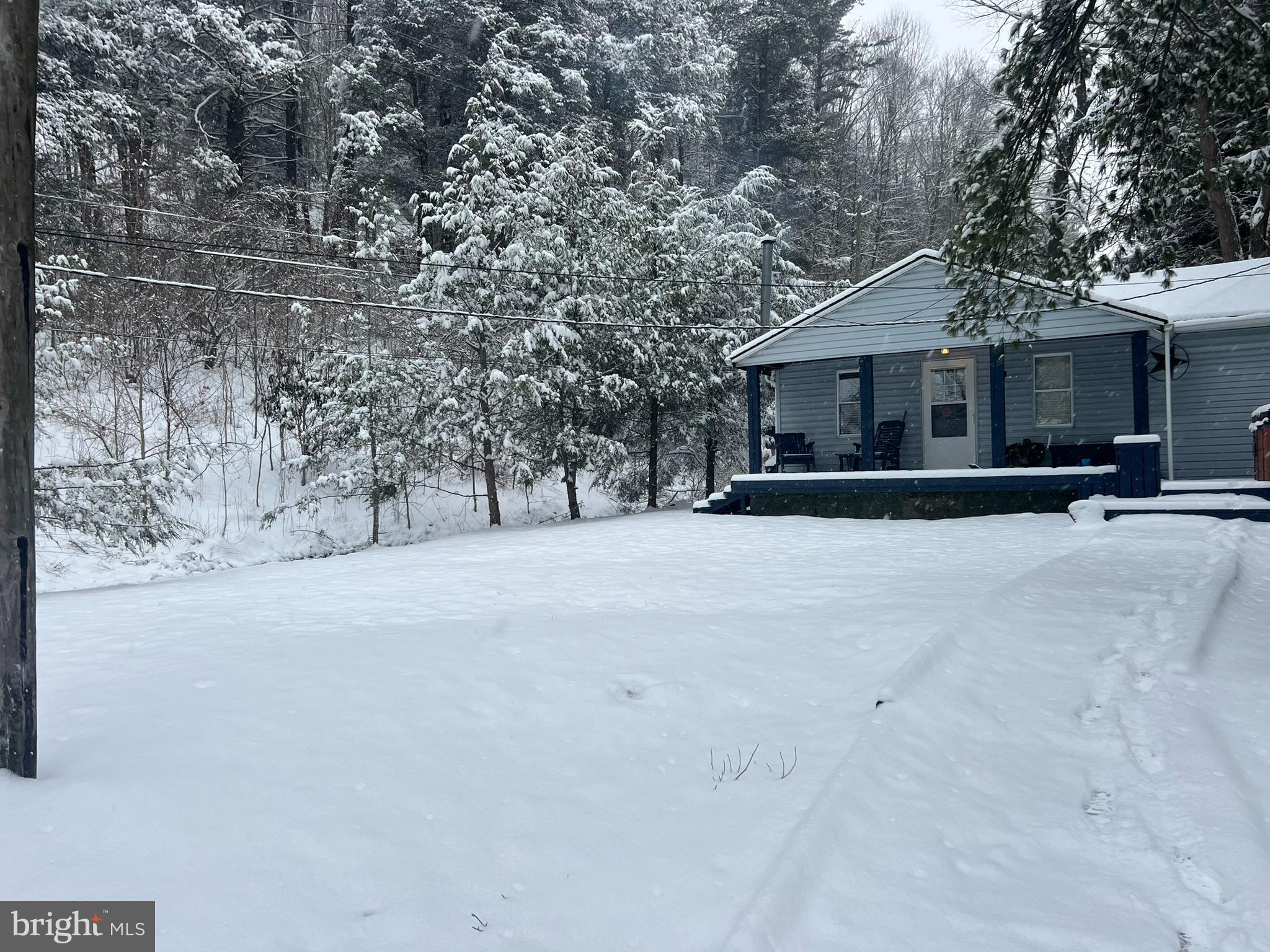 193 Gravelly Run Road McHenry, MD 21541 - Photo 51 of 57 a view of house with yard and trees in the background