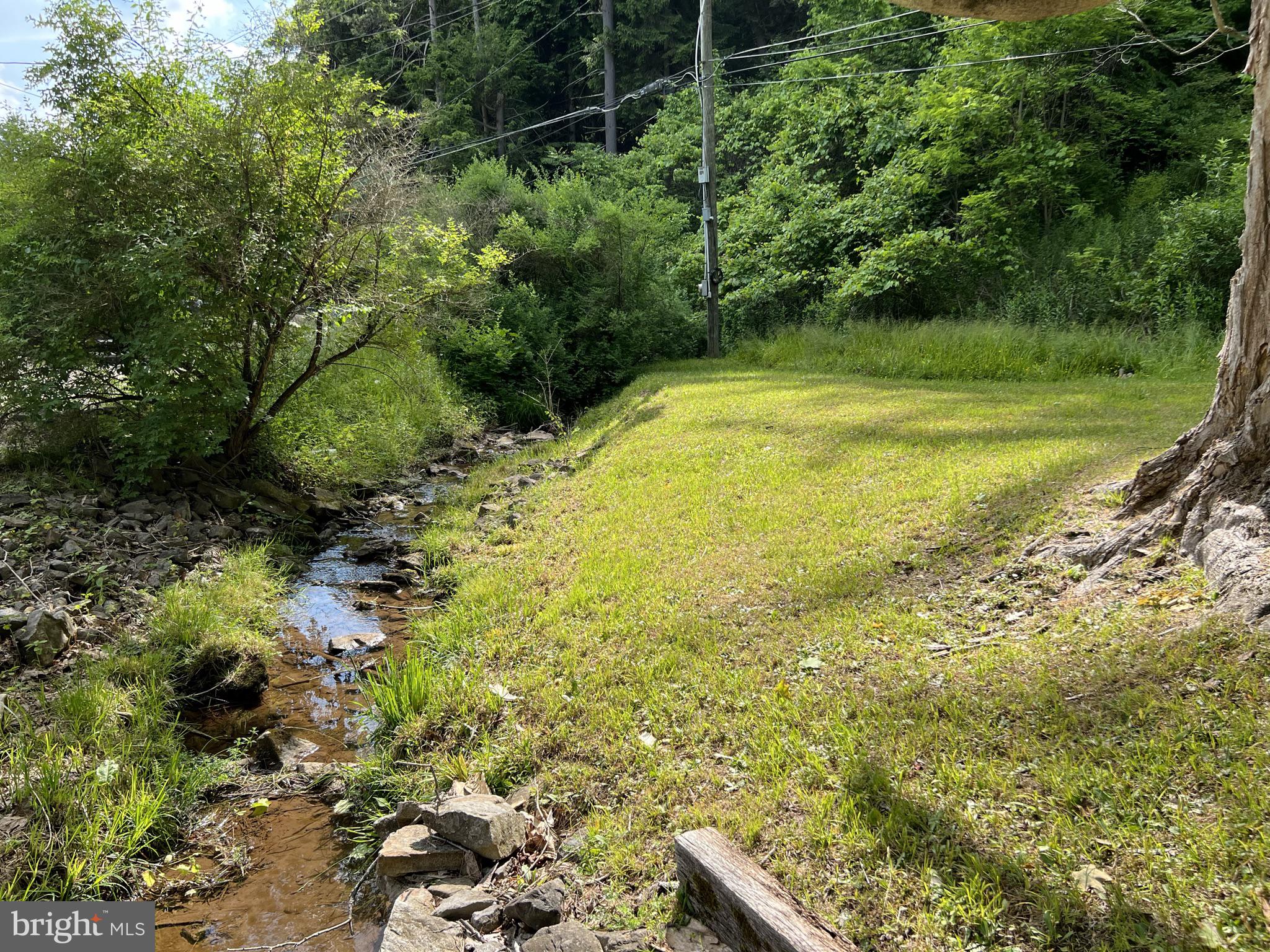 193 Gravelly Run Road McHenry, MD 21541 - Photo 8 of 57