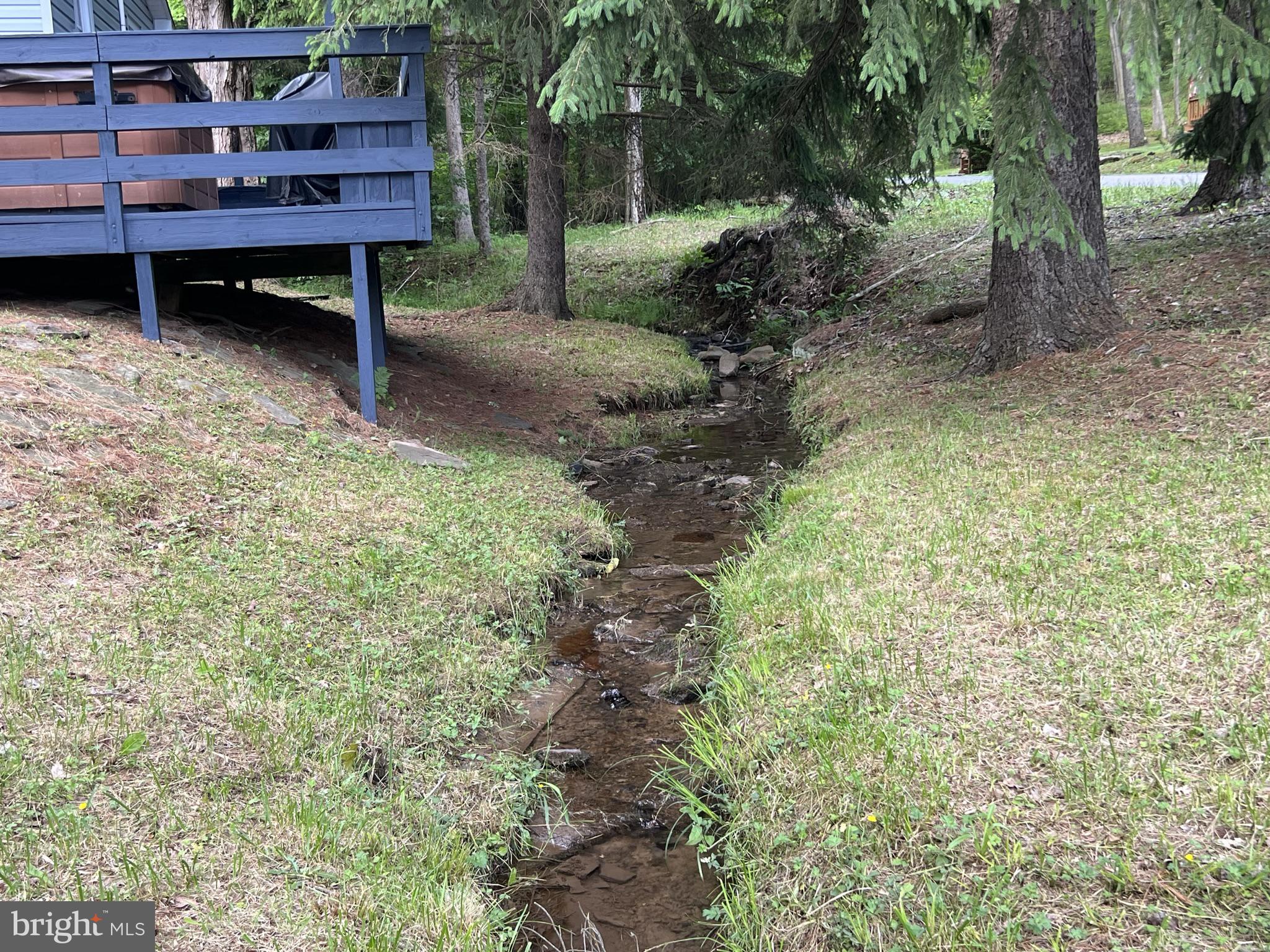 193 Gravelly Run Road McHenry, MD 21541 - Photo 9 of 57 a view of a backyard with plants and a tree