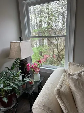 a living room filled with furniture and a potted plant