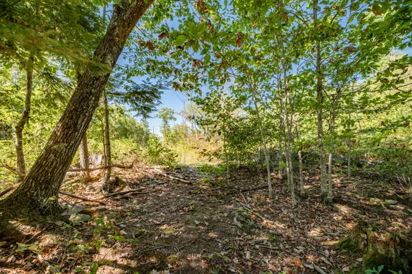 $85,000 | Lot 7 Cobbo Lane, West Gardiner, ME 04345