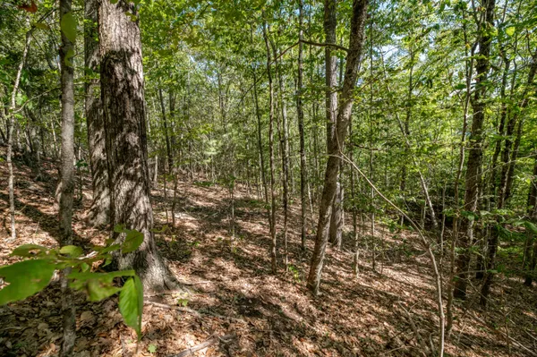 $85,000 | Lot 7 Cobbo Lane, West Gardiner, ME 04345
