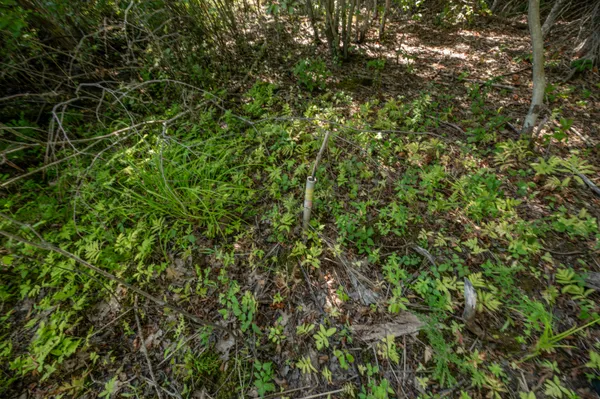 $85,000 | Lot 7 Cobbo Lane, West Gardiner, ME 04345