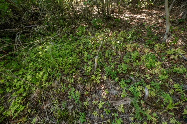 $85,000 | Lot 7 Cobbo Lane, West Gardiner, ME 04345