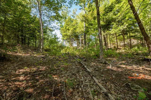 $85,000 | Lot 7 Cobbo Lane, West Gardiner, ME 04345