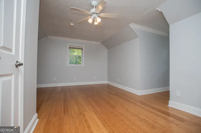 a view of a garden with plants