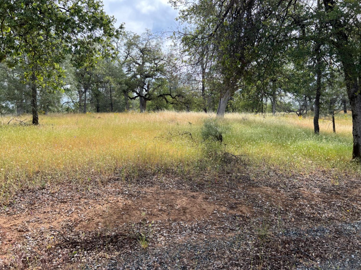 8439 Oak Ridge Road Mountain Ranch, CA 95246 - Photo 1 of 1 Gallery Image 1