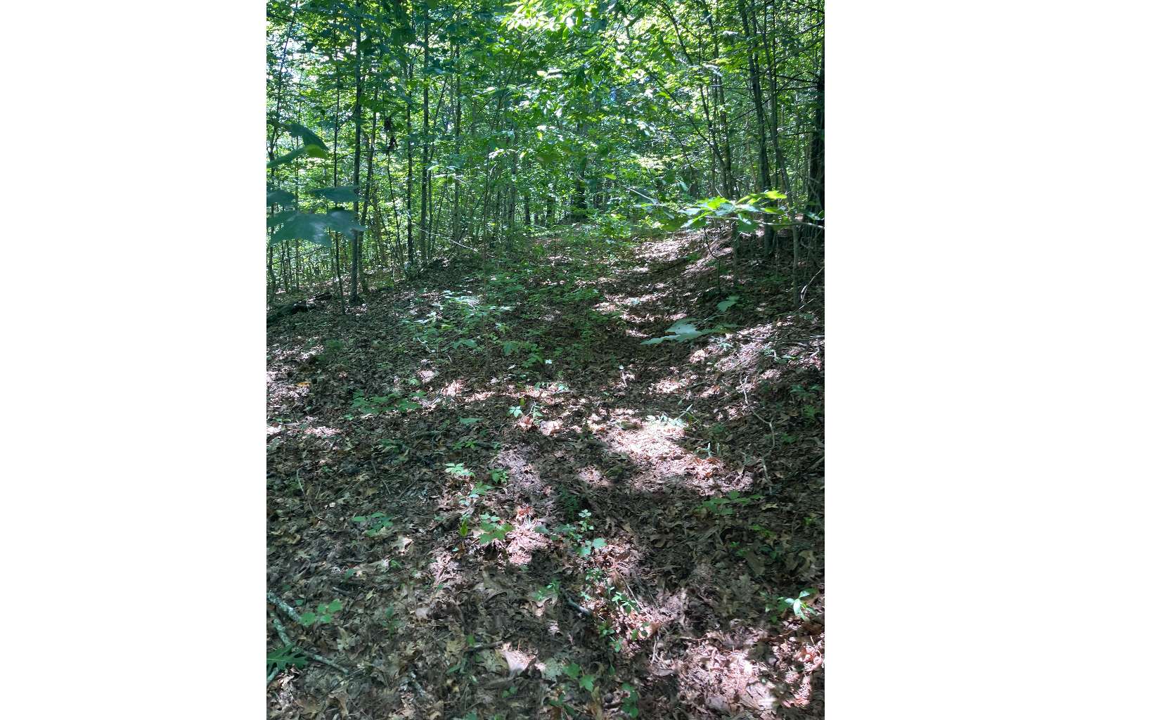 2603 Sunny Point Road Murphy, NC 28906 - Photo 5 of 7 Additional View