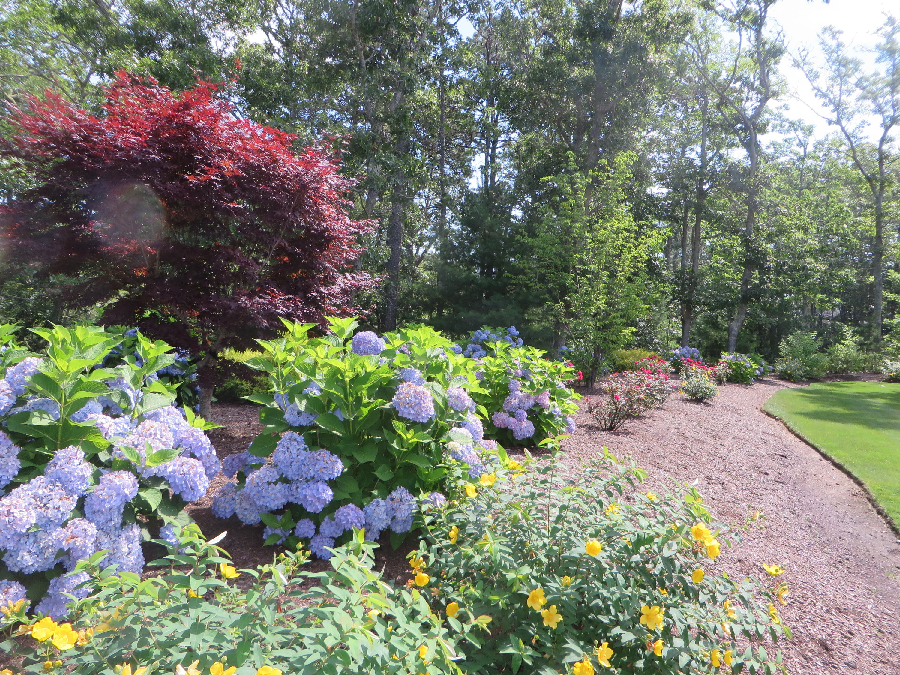 615 Queen Anne Road Harwich, MA 02645 - Photo 10 of 20 Beautiful plantings