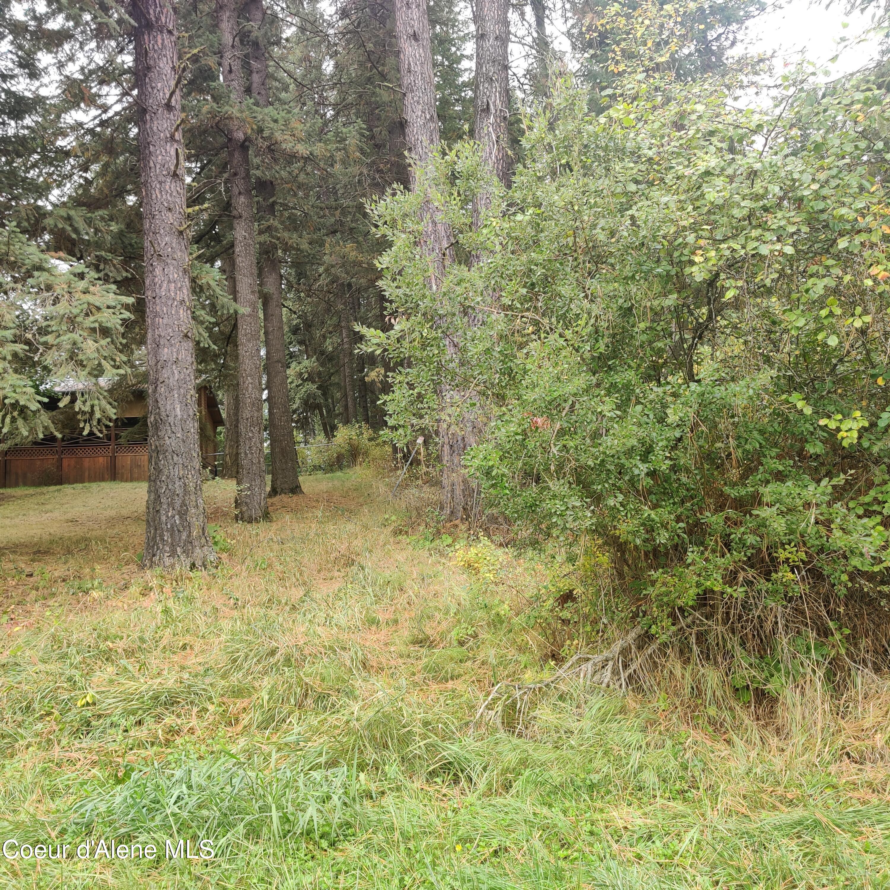 F Street Plummer, ID 83851 - Photo 8 of 10 Underbrush