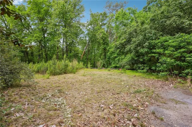 a view of backyard with green space
