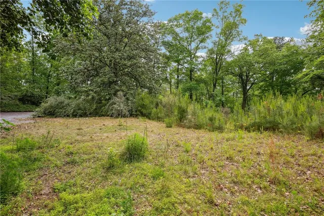 a view of outdoor space and yard