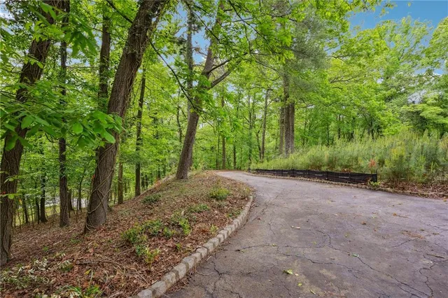 a view of a yard with plants and trees