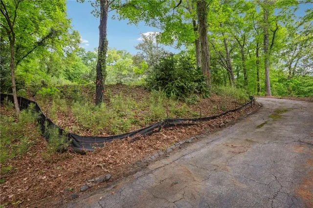 a view of a backyard