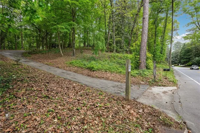 a view of a yard with plants and trees