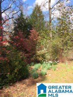 769 Chandler Mountain Road Steele, AL 35987 - Photo 41 of 41
