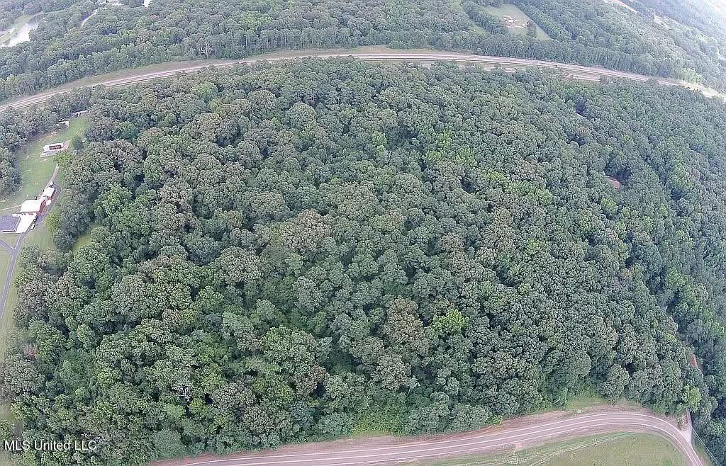 4770 McCracken Road Hernando, MS 38632 - Photo 2 of 11 IMG_0043