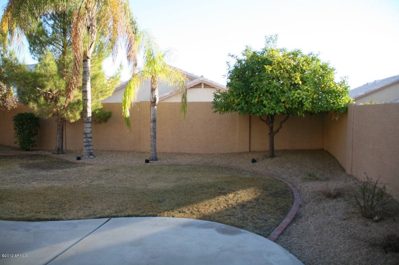 1229 East Redfield Road Phoenix, AZ 85022 - Photo 24 of 25 1229 E Redfield-backyard 1