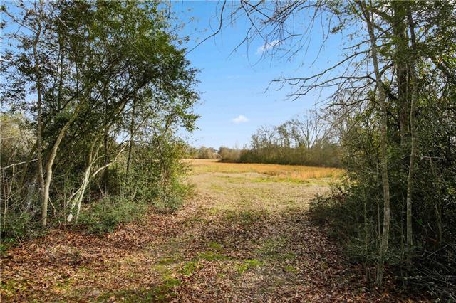 Tract B Boomerang Road Amite, LA 70422 - Photo 3 of 24