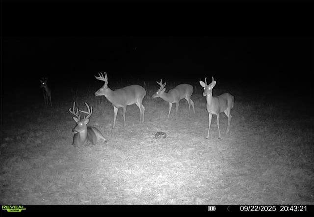 Tract B Boomerang Road Amite, LA 70422 - Photo 9 of 24