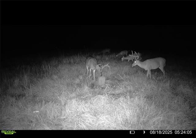 Tract B Boomerang Road Amite, LA 70422 - Photo 10 of 24