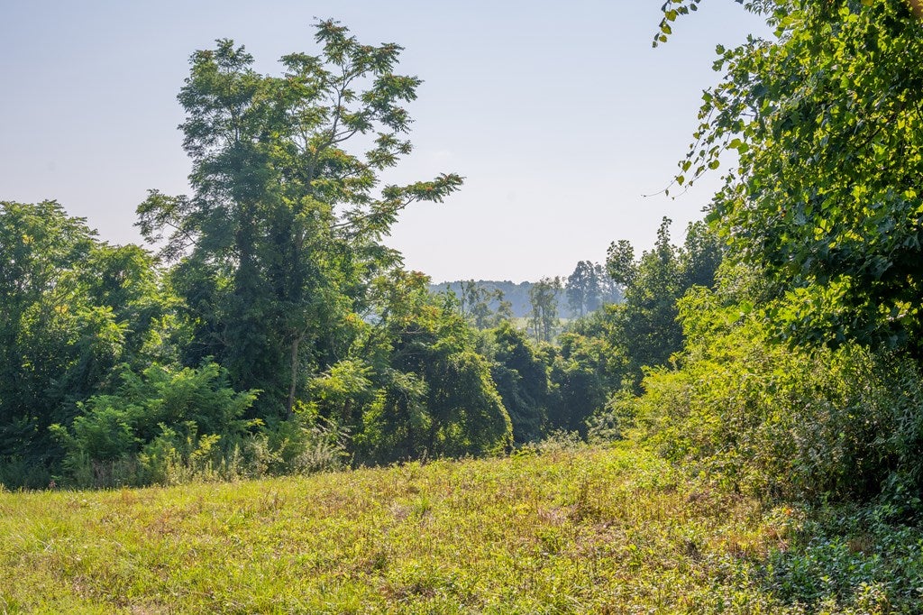 7950 Conner Road Northeast, Unit 5 Copper Hill, VA 24079 - Photo 20 of 25 Gallery Image 20