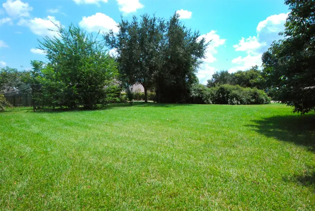 a view of a grassy field with trees in the background