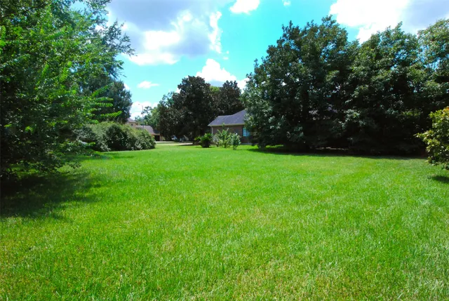 a view of a green field with trees in the background