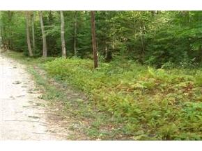 - Rand Pond Road Goshen, NH 03752 - Photo 2 of 6