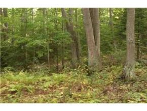 - Rand Pond Road Goshen, NH 03752 - Photo 3 of 6
