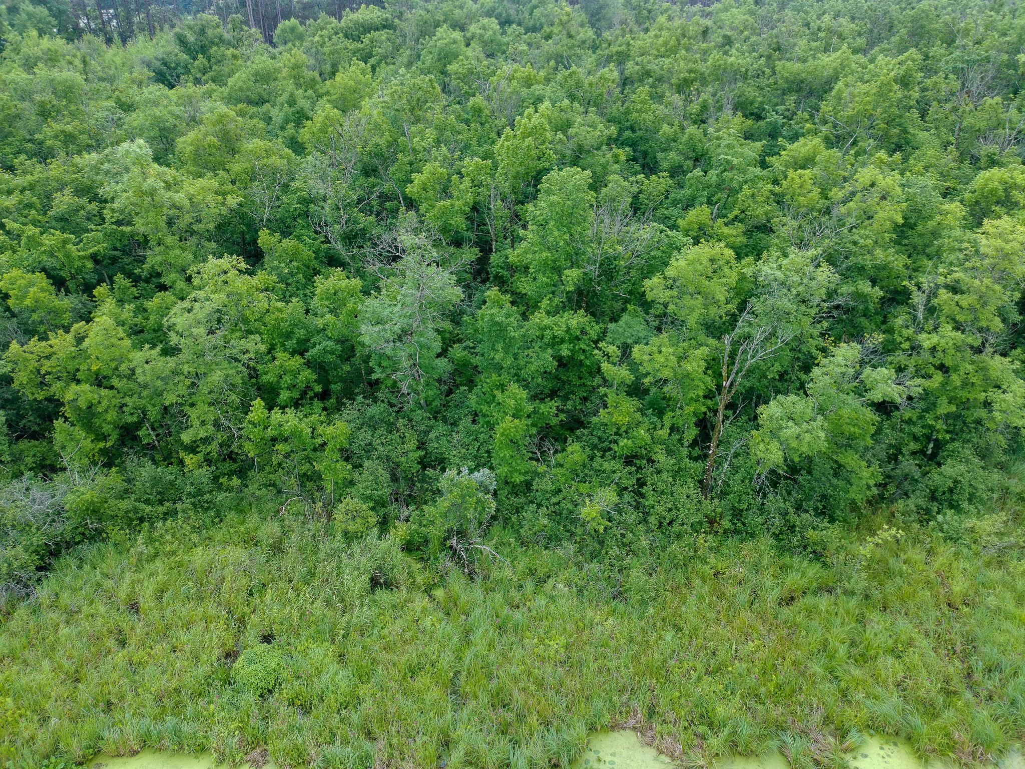 Tbd-1 North Riverside Road Moose Lake, MN 55767 - Photo 11 of 24