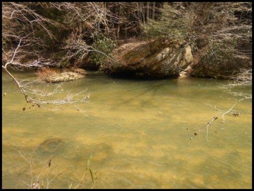 Old Turnpike Road Jamestown, TN 38556 - Photo 1 of 35 Primary Photo
