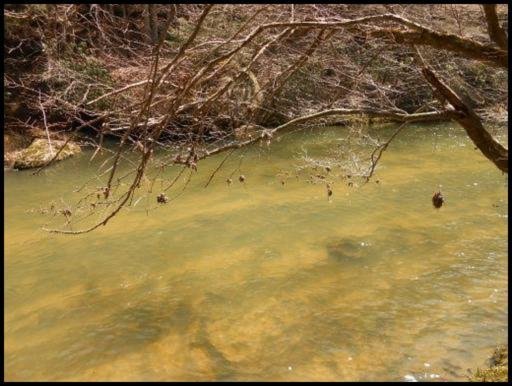 Old Turnpike Road Jamestown, TN 38556 - Photo 11 of 35 Additional Photo