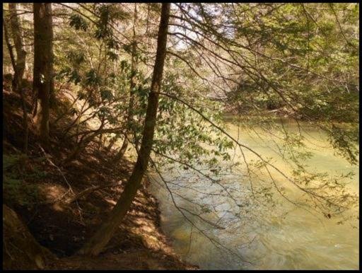 Old Turnpike Road Jamestown, TN 38556 - Photo 13 of 35 Additional Photo