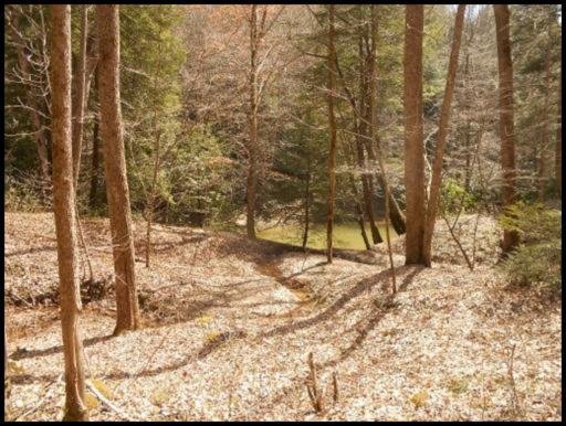 Old Turnpike Road Jamestown, TN 38556 - Photo 15 of 35 Additional Photo