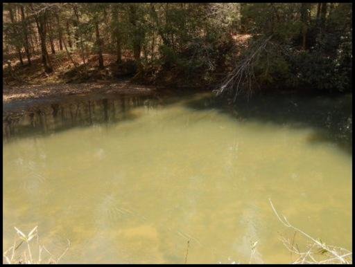 Old Turnpike Road Jamestown, TN 38556 - Photo 16 of 35 Additional Photo