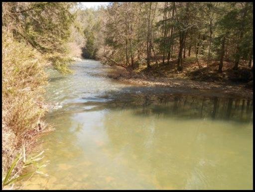 Old Turnpike Road Jamestown, TN 38556 - Photo 17 of 35 Additional Photo