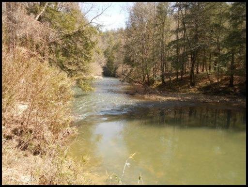 Old Turnpike Road Jamestown, TN 38556 - Photo 18 of 35 Additional Photo