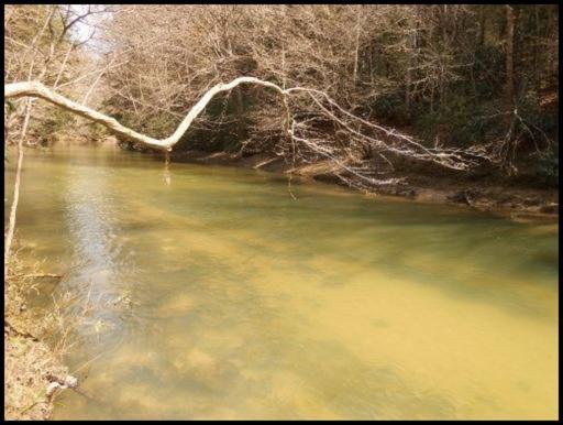 Old Turnpike Road Jamestown, TN 38556 - Photo 19 of 35 Additional Photo