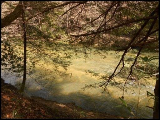 Old Turnpike Road Jamestown, TN 38556 - Photo 20 of 35 Additional Photo