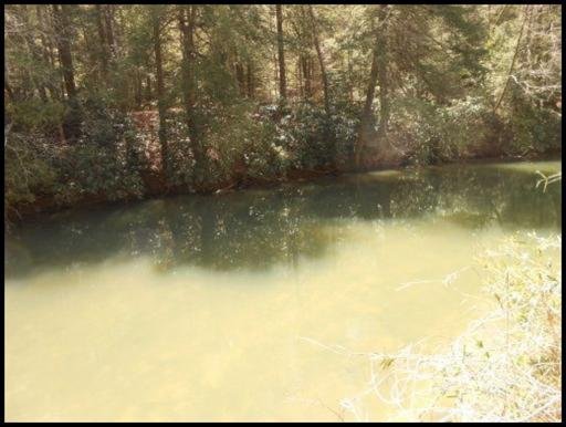 Old Turnpike Road Jamestown, TN 38556 - Photo 22 of 35 Additional Photo