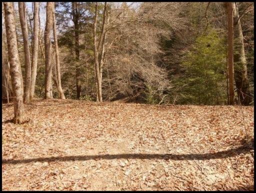 Old Turnpike Road Jamestown, TN 38556 - Photo 28 of 35 Additional Photo